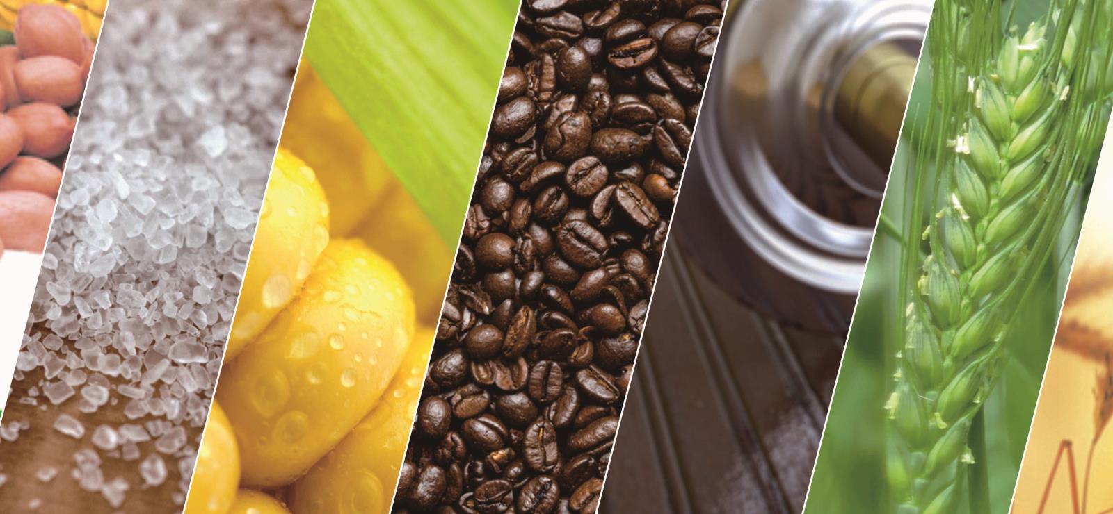 英国·威廉希尔(williamhill)唯一中文官方网站